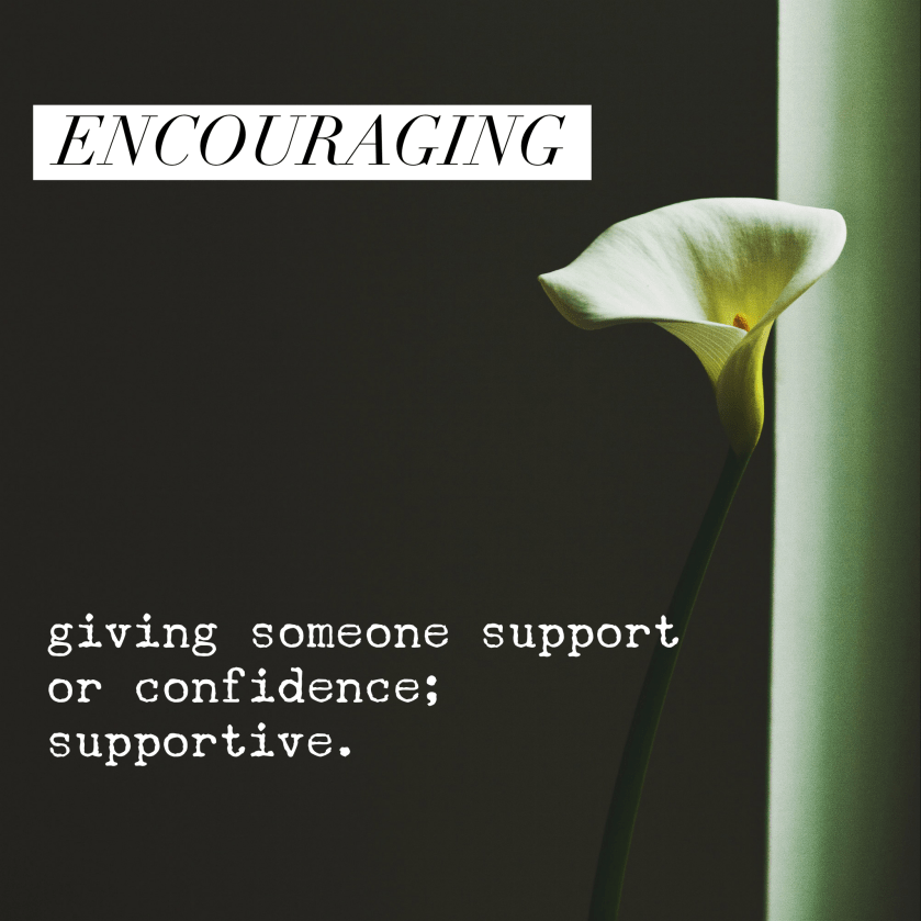 4CCA3279-ACA7-4D03-9925-4E81E2559FB7